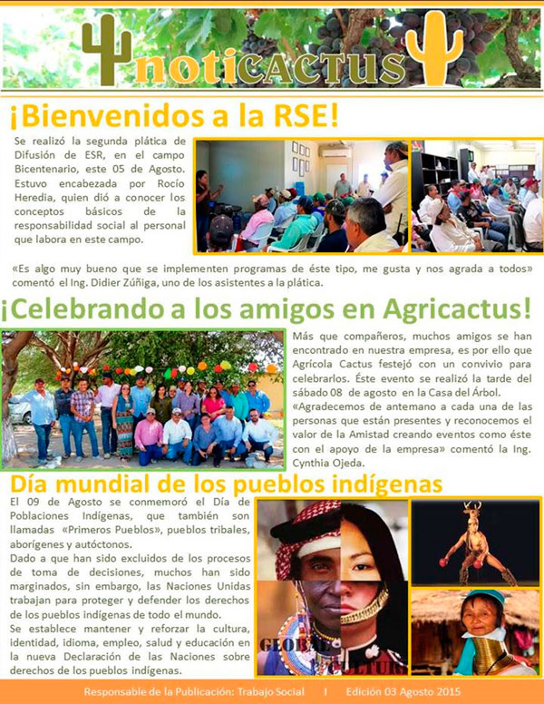 boletin-c